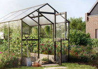 Drivhus i glas med sort ramme og åben dør, planter og haveredskaber Drivhus med sort aluminiumsramme og klare glaspaneler med åben dør; indvendige hængende planter og tomatplanter, skovl og små potter foran, omgivet af blomsterbede og et hus i baggrunden