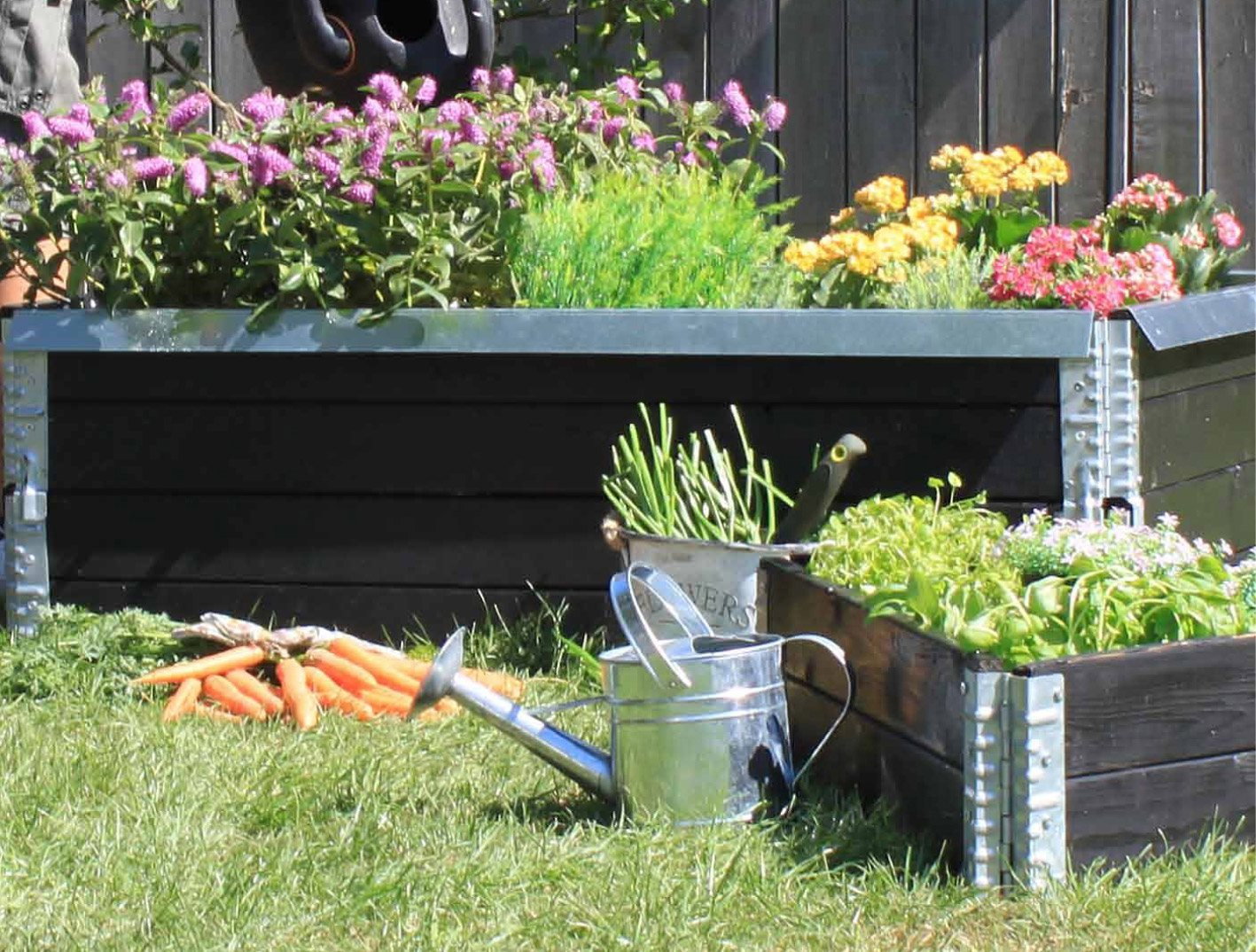 Højbed i haven med blomster og grøntsager Sort højbed med blomster, urter, gulerødder og vandkande