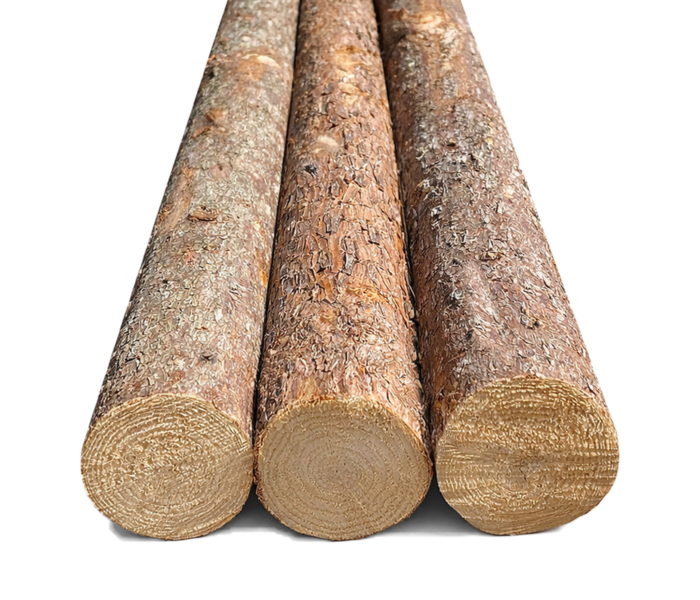 BMB Granrafter med bark 220 cm – robuste grantræsrafter til hegn og afskærmning Granrafter med bark 220 cm fra BMB, naturbeskyttet grantræ ideel til raftehegn, havens afskærmning og byggprojekter, tæt vækst for lang holdbarhed